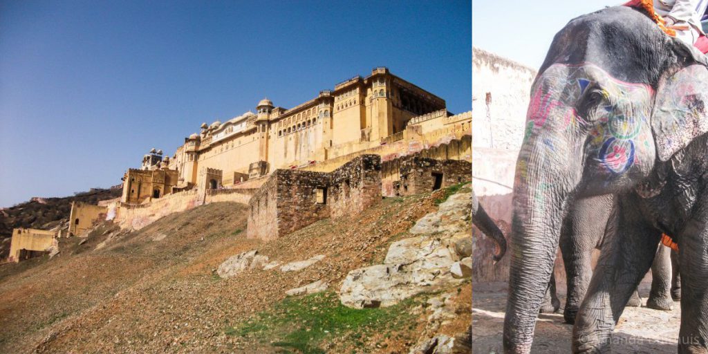 Amber fort, Jaipur