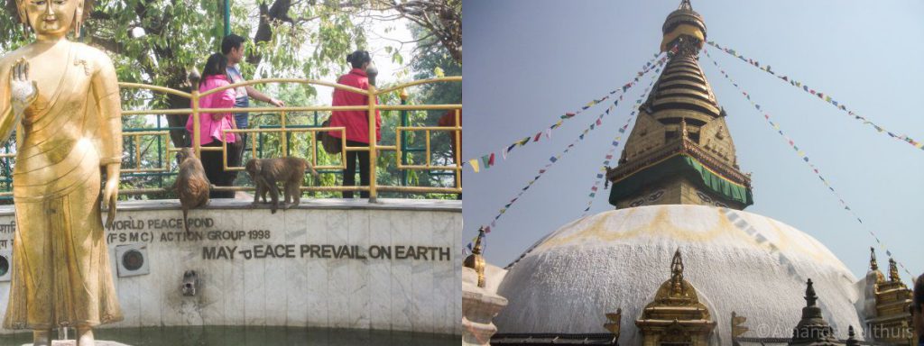 Apentempel Swayambhunath Kathamandu