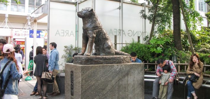 Hachiko Standbeeld Tokio