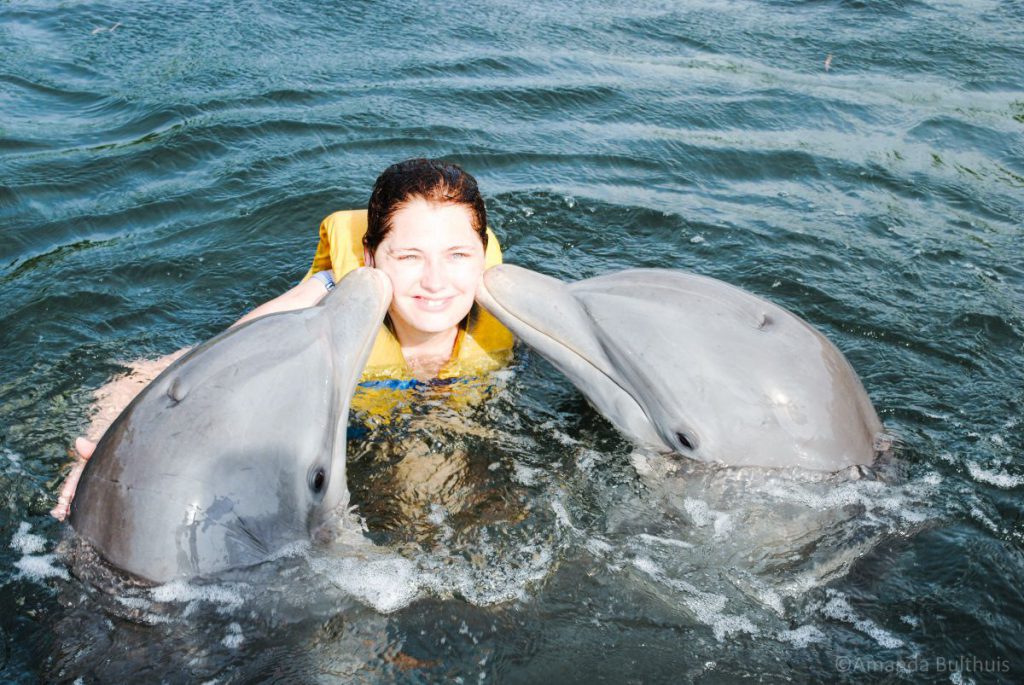 Zwemmen met dolfijnen, Cuba