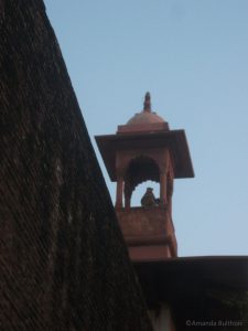 Aap bij Taj Mahal