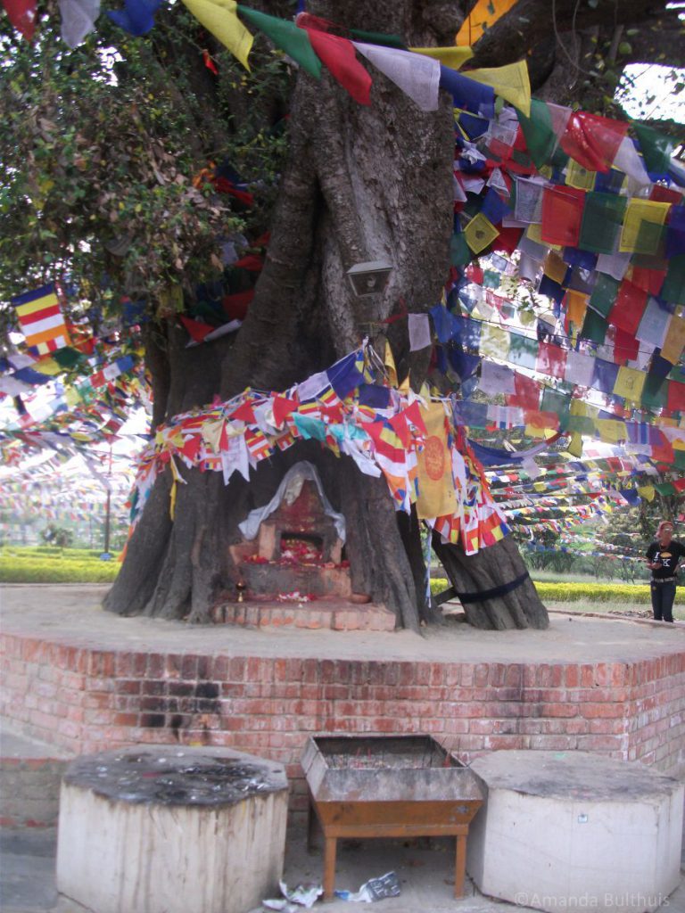 Geboorteplaats Budhha, Lumbini - Nepal