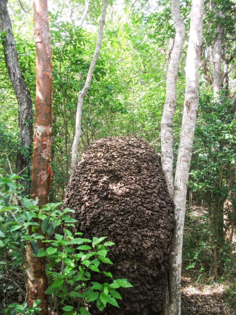 Reserva Ecológica Varahicacos, Varadero