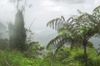 Sierra Maestra Cuba