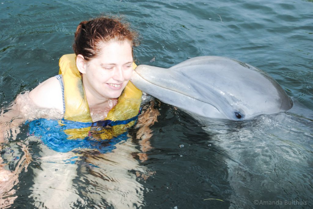 Zwemmen met dolfijnen met Cuba