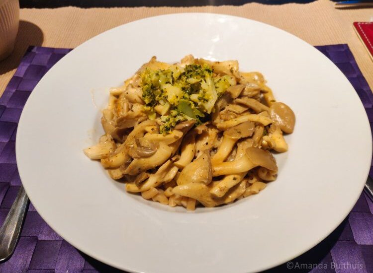 Pasta oesterzwammen