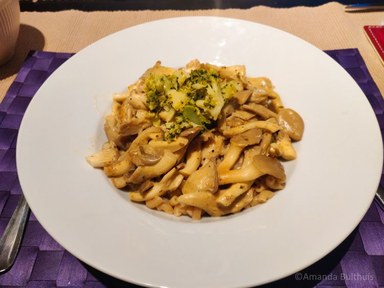 Pasta met oesterzwammen