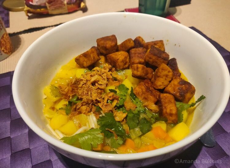 Vegan soto ajam met tempeh