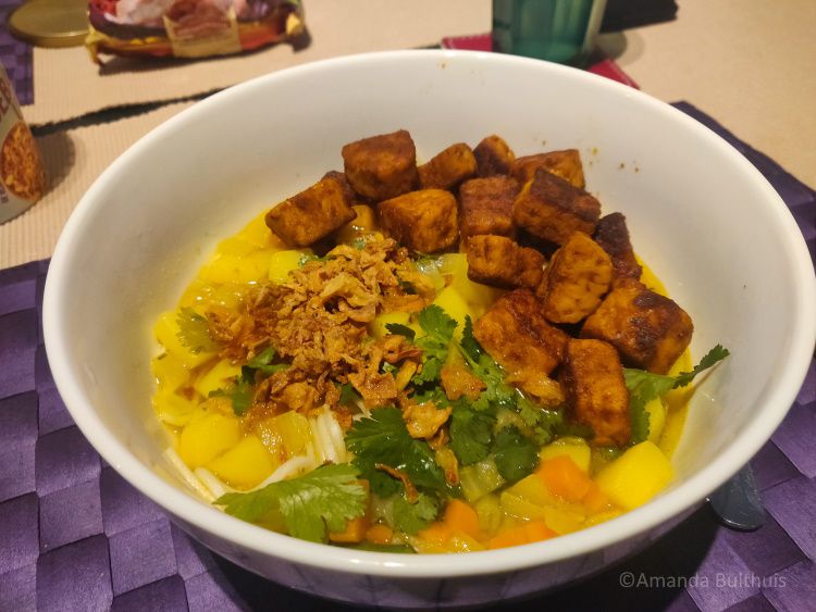 Vegan soto ajam met tempeh