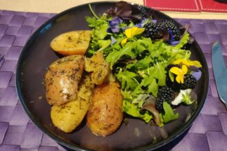 Salade - week 28 - 2022