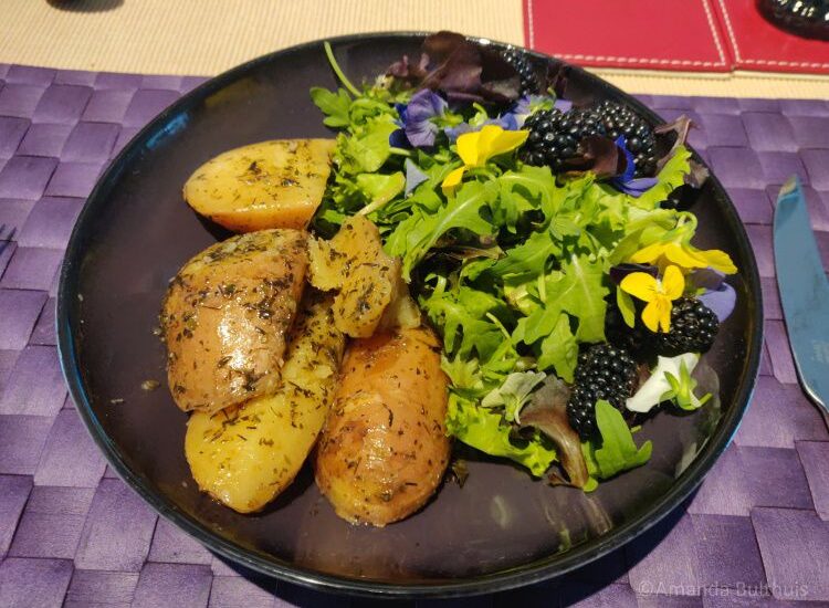 Salade - week 28 - 2022