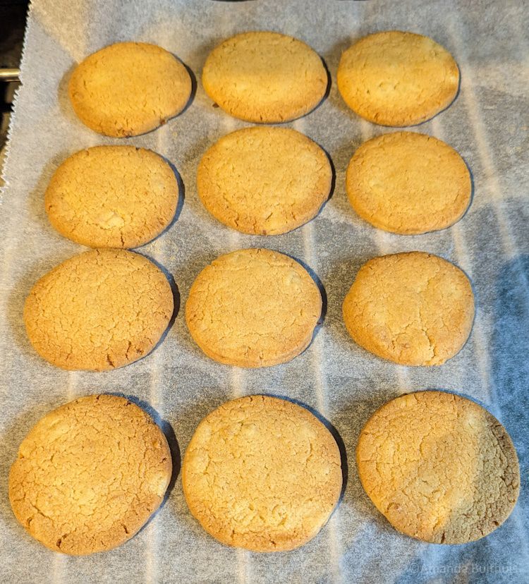 Vegan koekjes met gember