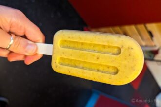 Vegan kulfi ijs met pistache